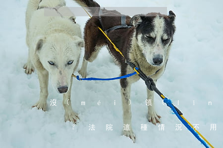 沒(méi)領(lǐng)證彩禮能退嗎？法院：這種情況不用退